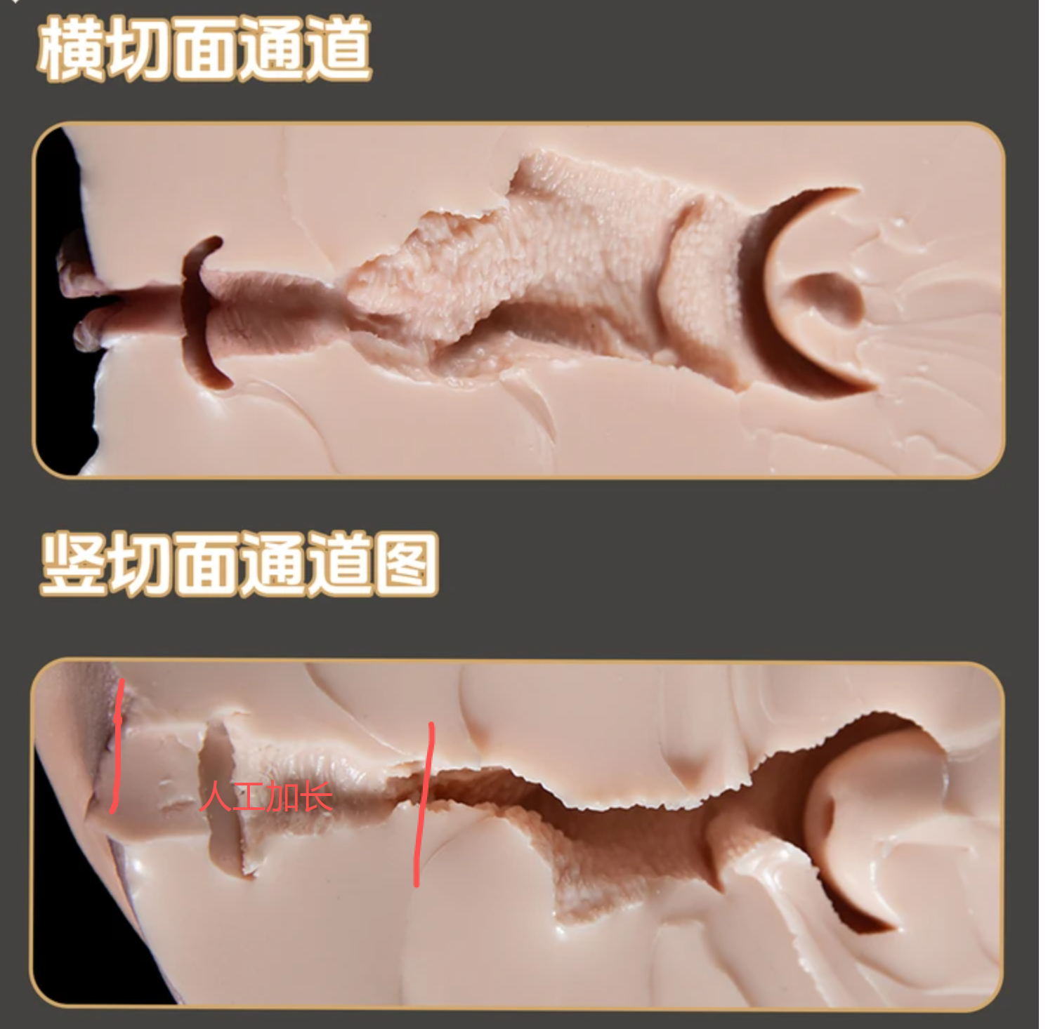 e796ded2-815b-4ae2-af8a-af88e0fd701b